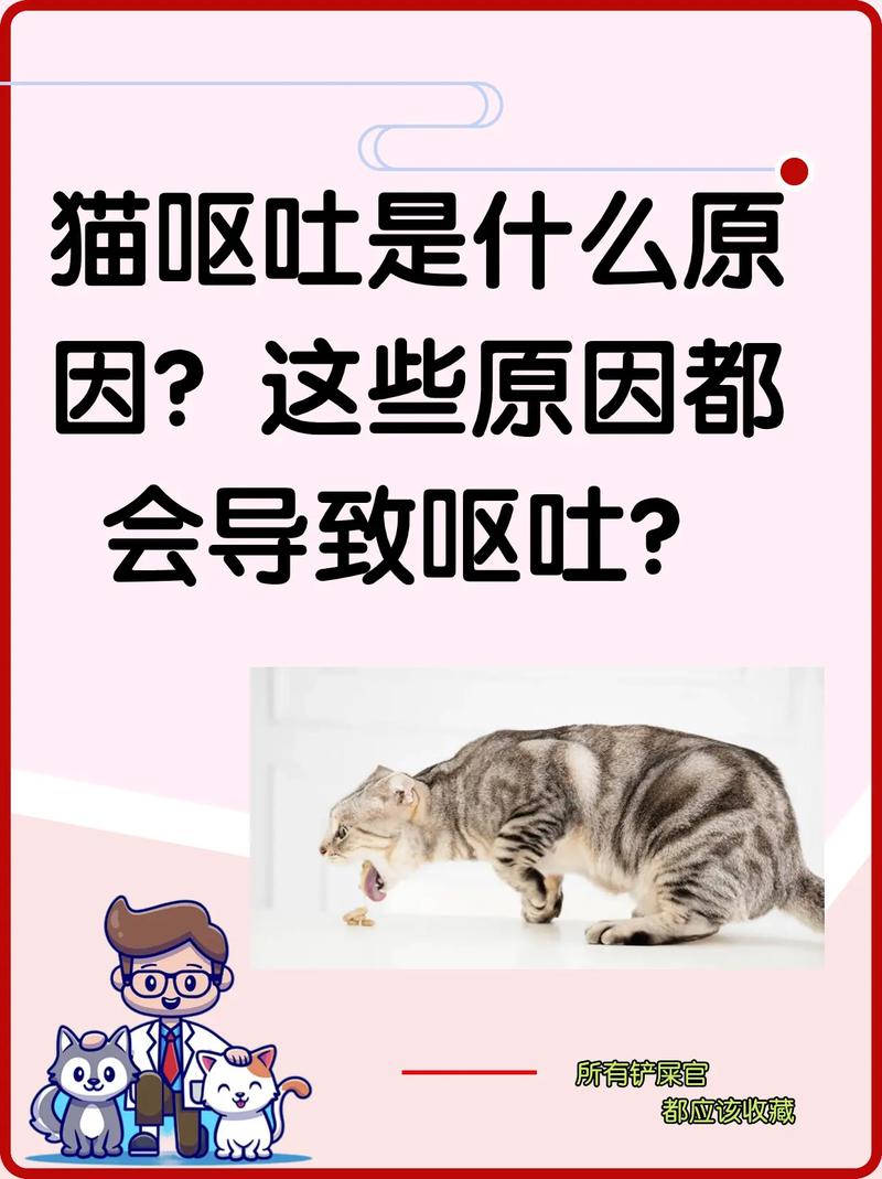 貓咪嘔吐血，了解癥狀與緊急處理