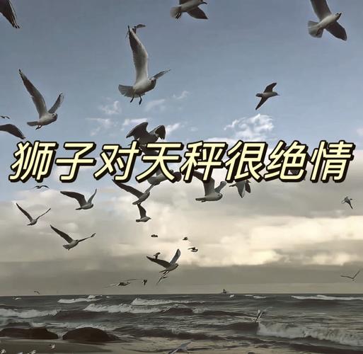 共舞，貓咪與獅子的和平之歌