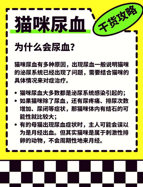 貓咪的小麻煩——揭秘尿道阻塞