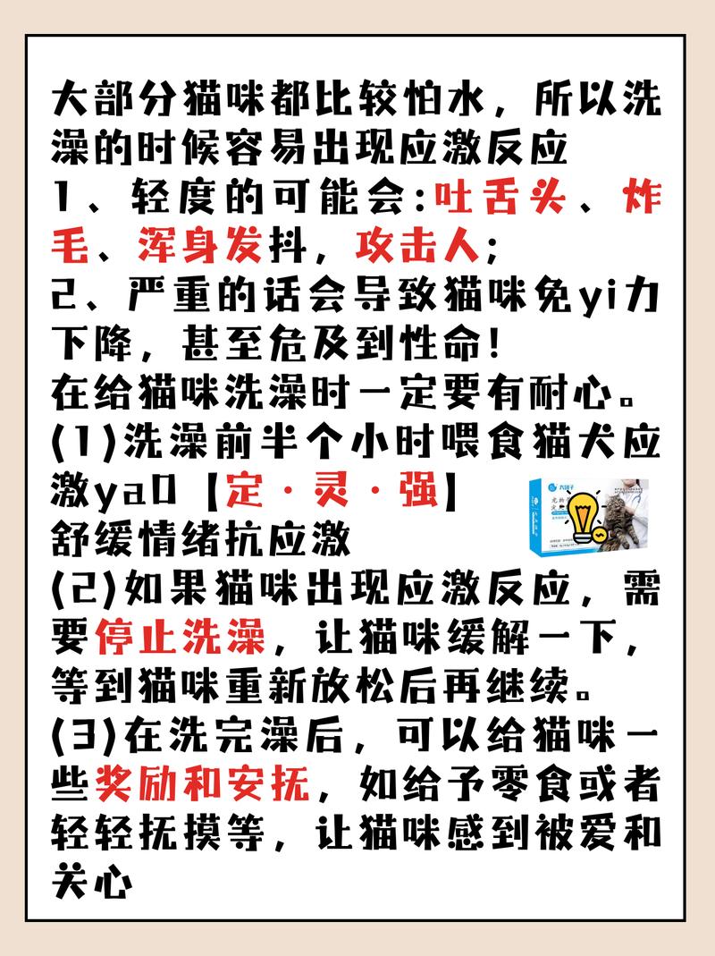 貓咪洗澡，如何緩解應(yīng)激？