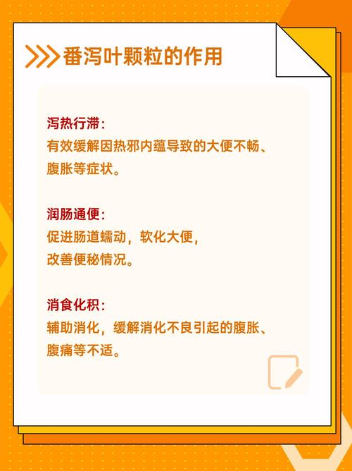 溫柔的心靈與健康之道，如何幫助懷孕的貓咪應(yīng)對便秘問題