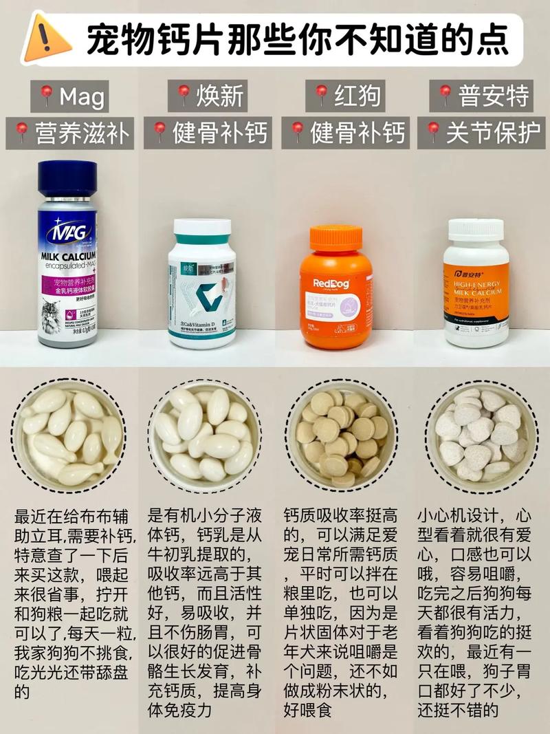 科學(xué)喂養(yǎng)貓咪，了解貓咪鈣片的正確服用方法