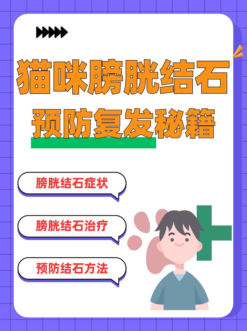 貓咪的結(jié)石之痛，了解、預(yù)防與治療