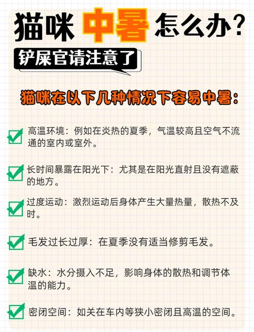 貓咪也會中暑嗎？夏日如何給寵物降溫