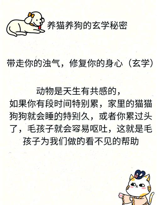 守護毛孩子健康的小秘密