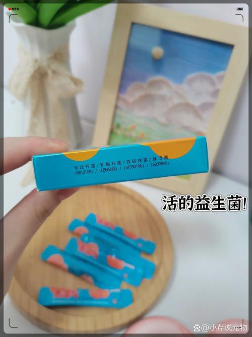 貓咪食用益生菌后出現嘔吐癥狀的原因及應對策略