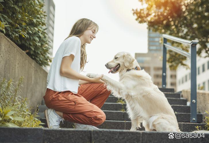 與寵物共度溫馨時(shí)光