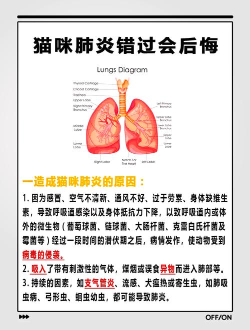 貓咪咳嗽的秘密，理解原因和照顧技巧