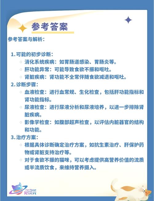 貓咪飲食健康需警惕，嘔吐與食欲不振的警示信號