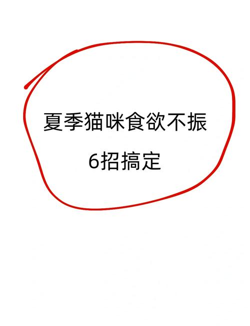 夏日炎炎，貓咪為何食欲不振？