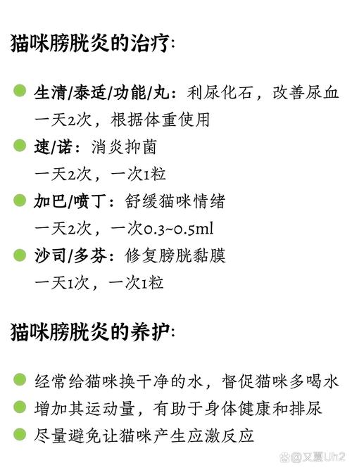 溫柔地?fù)崦堖涞陌螂?？不是這樣的，了解貓咪健康的重要信號(hào)