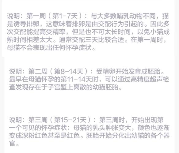 揭秘貓咪假懷孕的神秘面紗——了解貓咪的妊娠癥狀