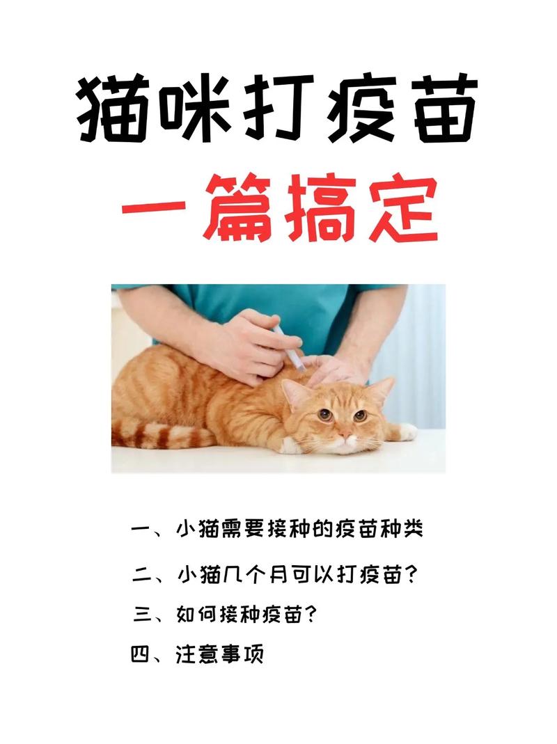 貓咪打疫苗，一次就夠？