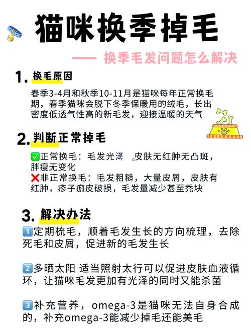 輕松搞定貓咪毛發(fā)難題 —— 快速有效的貓咪修毛指南