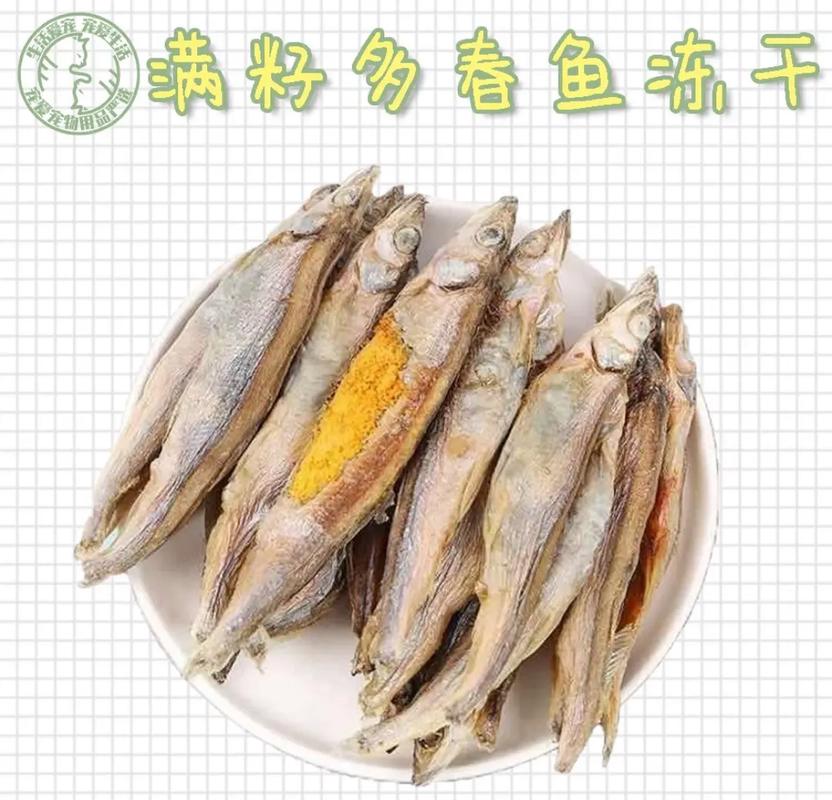 貓咪能否享受美味的小魚干？