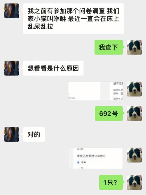 貓咪的枕頭悲劇，如何解決貓咪尿在枕頭上的問題