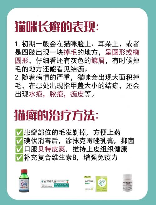 貓咪皮蘚，全面解析治療與護(hù)理