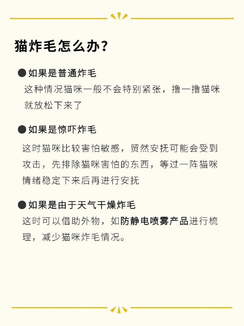 揭秘貓咪炸毛真相，理解與解決