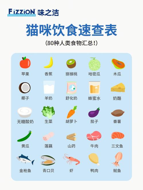 貓咪骨折后吃什么食物最適宜