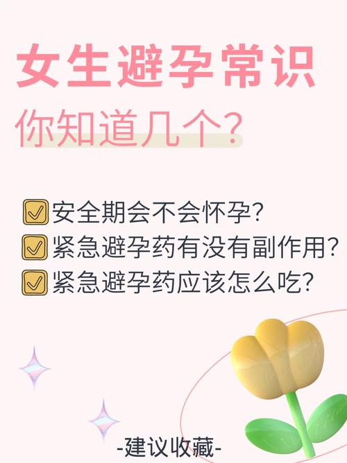 貓咪能吃避孕藥嗎？你需要知道的貓主人警示