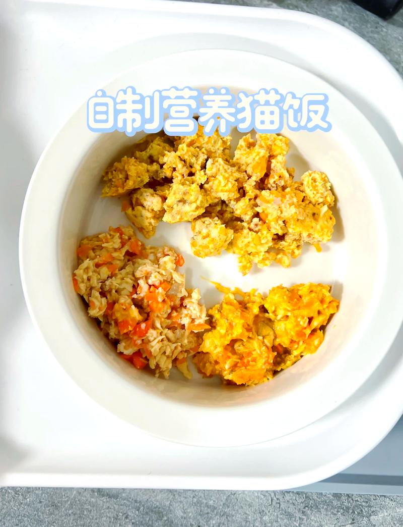 打造專屬美味，如何為您的愛寵制作健康貓飯