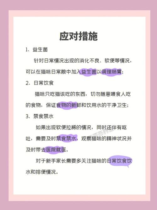 貓咪換食后為何拉肚子？專家教你如何安全換糧