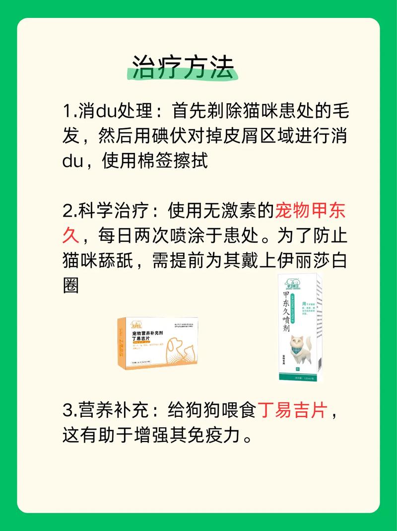 貓咪真菌感染，全面解析與科學(xué)治療方案