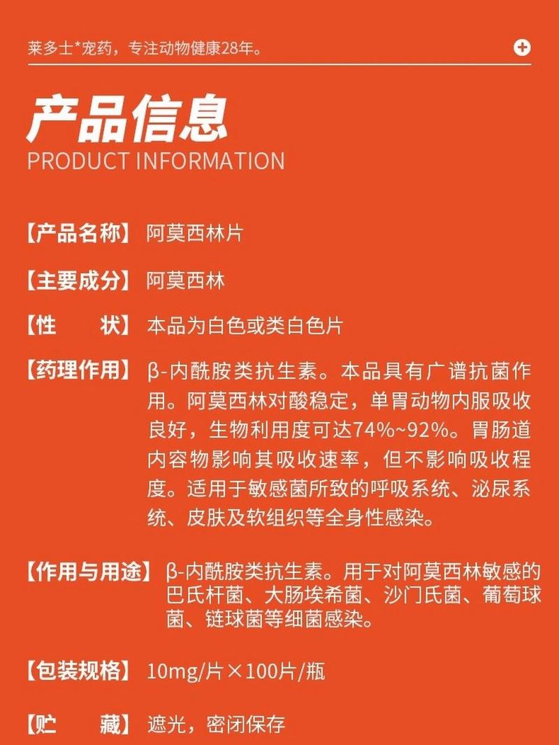 貓咪消炎藥使用指南，服用頻率與注意事項