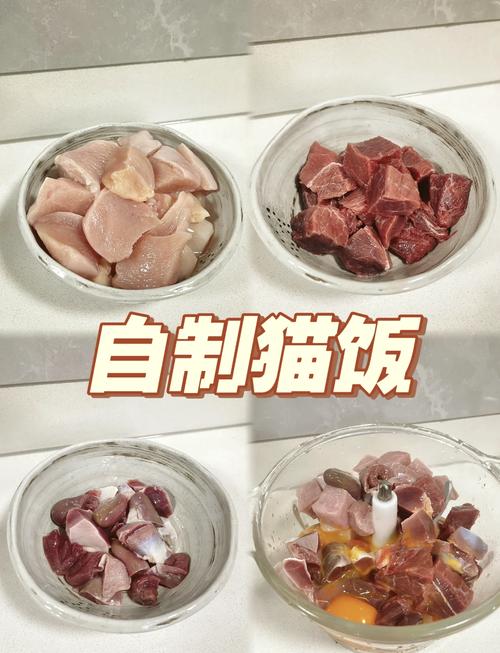 輕松在家自制貓咪美味零食——手把手教你做