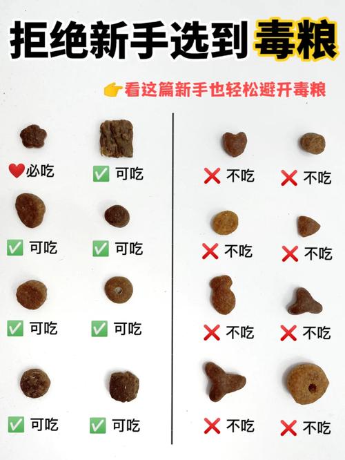 貓咪一歲吃什么糧？