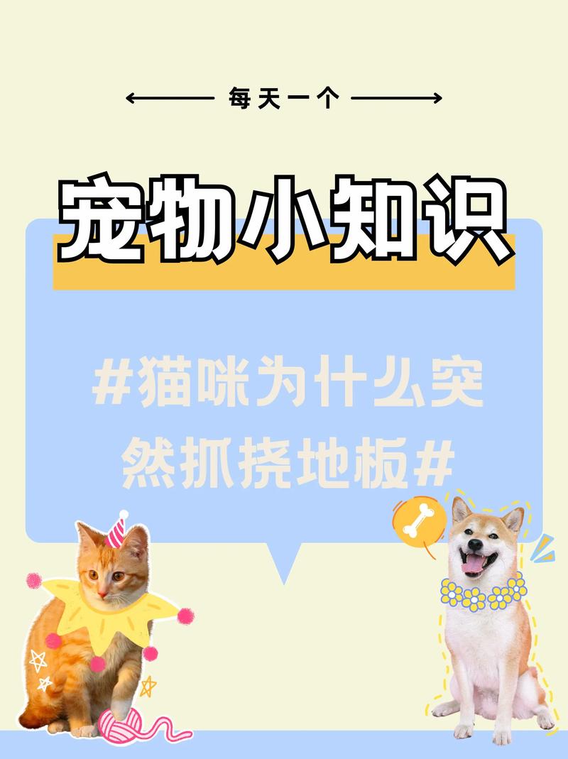 貓咪的抓撓行為，理解與管理