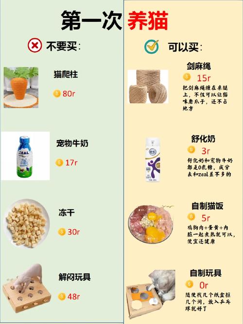 貓咪一月半齡食譜，科學(xué)喂養(yǎng)小貓的黃金法則