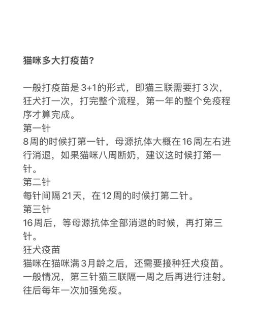 貓咪疫苗，兩次接種的必要性與重要性