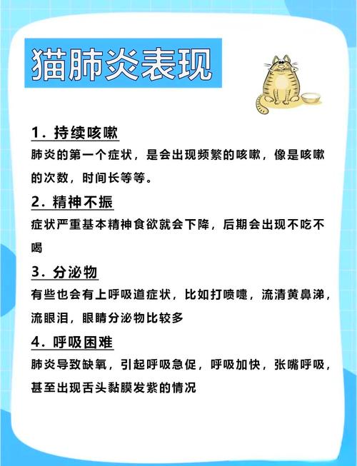 貓咪支氣管炎癥狀，了解與預防