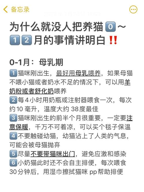 為你的小貓選擇合適的藥物，初生至三個(gè)月的喂養(yǎng)指南