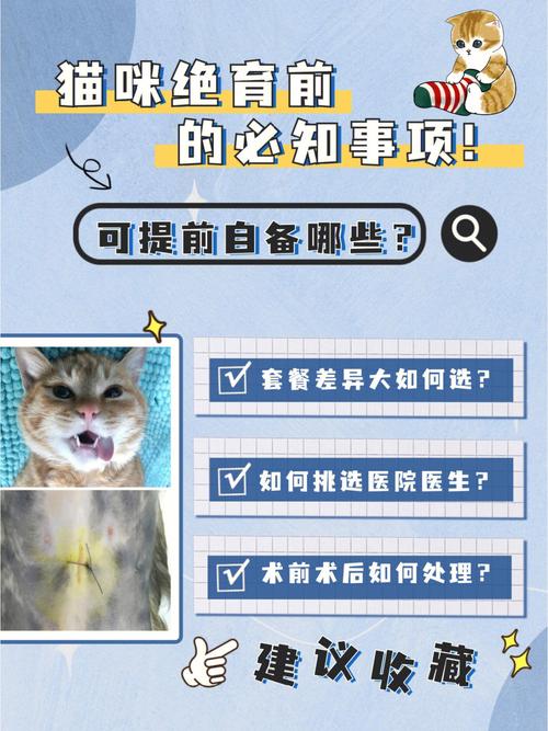 貓咪絕育藥物，全面解析與科學(xué)選擇