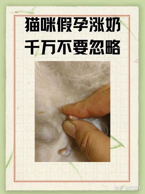 貓咪斷奶后漲奶的常見(jiàn)原因與解決方法