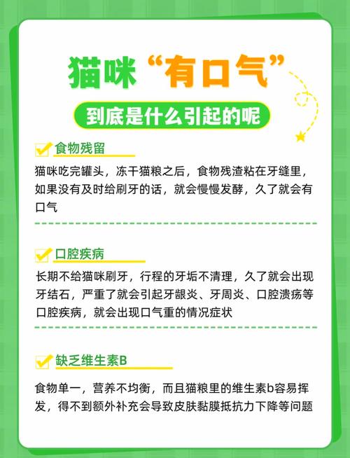 輕松解決貓咪的口臭問題——為你的毛孩子打造清新口腔