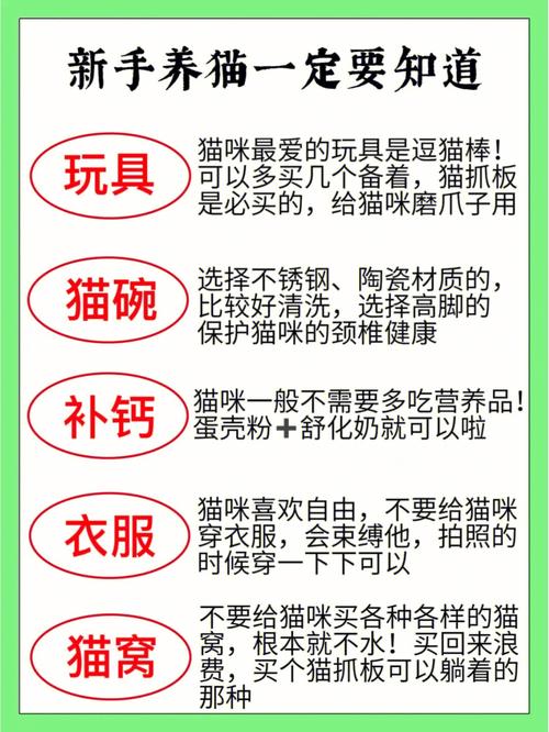 養(yǎng)貓必看！全面解析貓咪補鈣方法