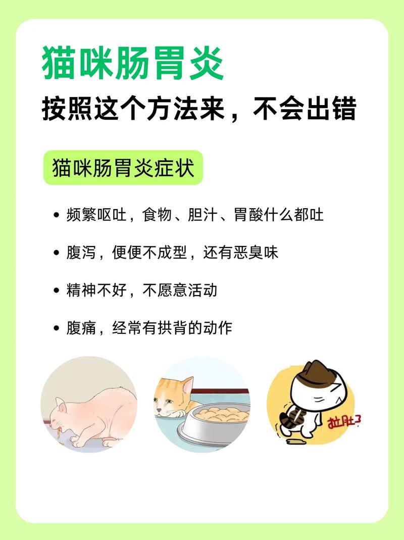 貓咪的常見癥狀——嘔吐與打噴嚏