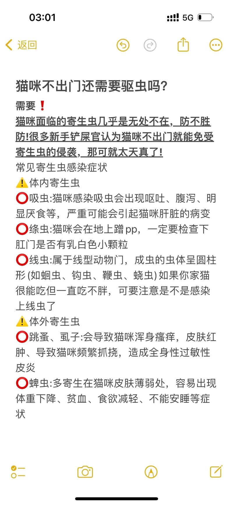 貓咪幾月齡開始需要驅蟲？