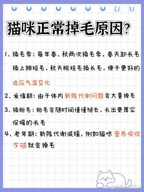 貓咪后背掉毛的那些事兒