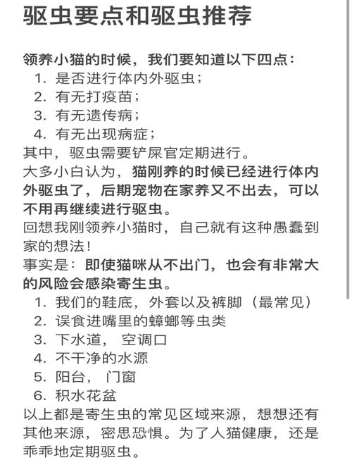 貓咪體外驅(qū)蟲全攻略，安全有效，讓你的毛孩子遠(yuǎn)離寄生蟲