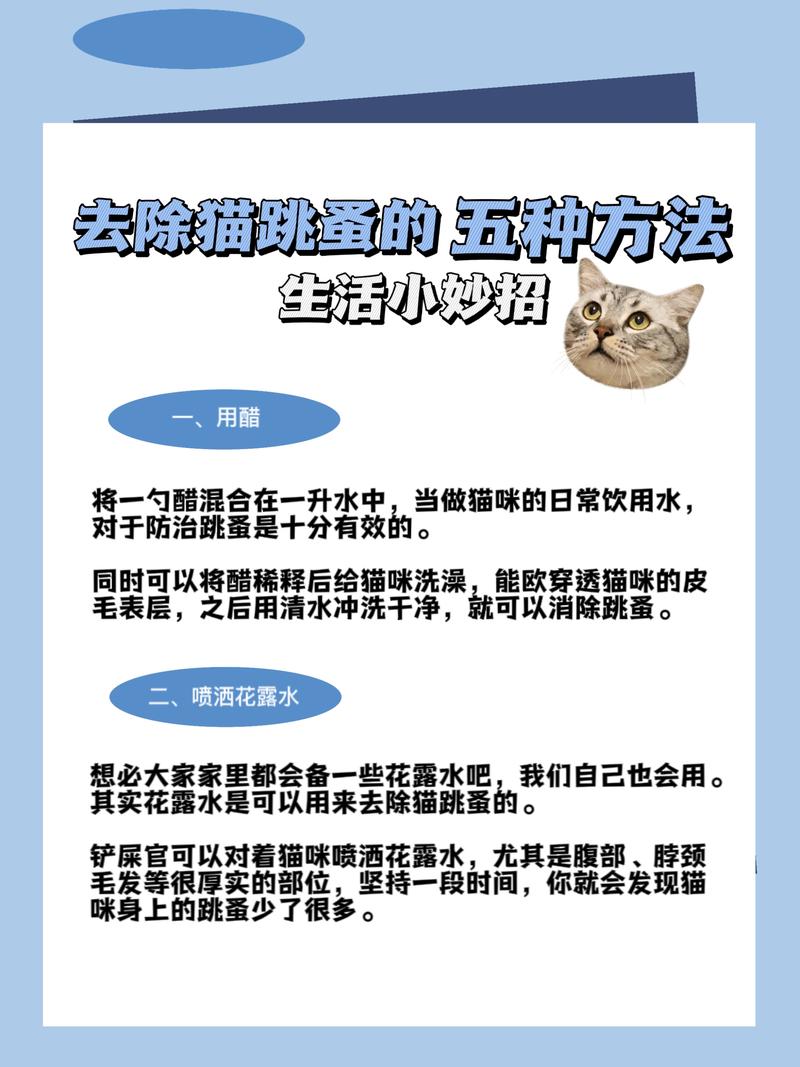 如何有效清除貓咪身上的跳蚤