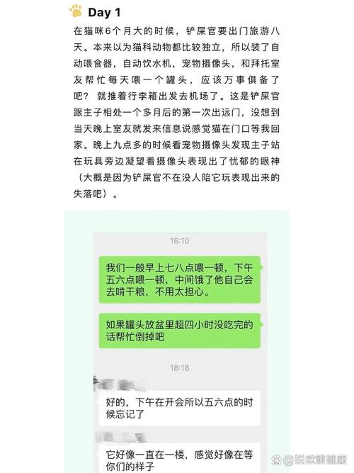 貓咪分離焦慮癥，理解與緩解