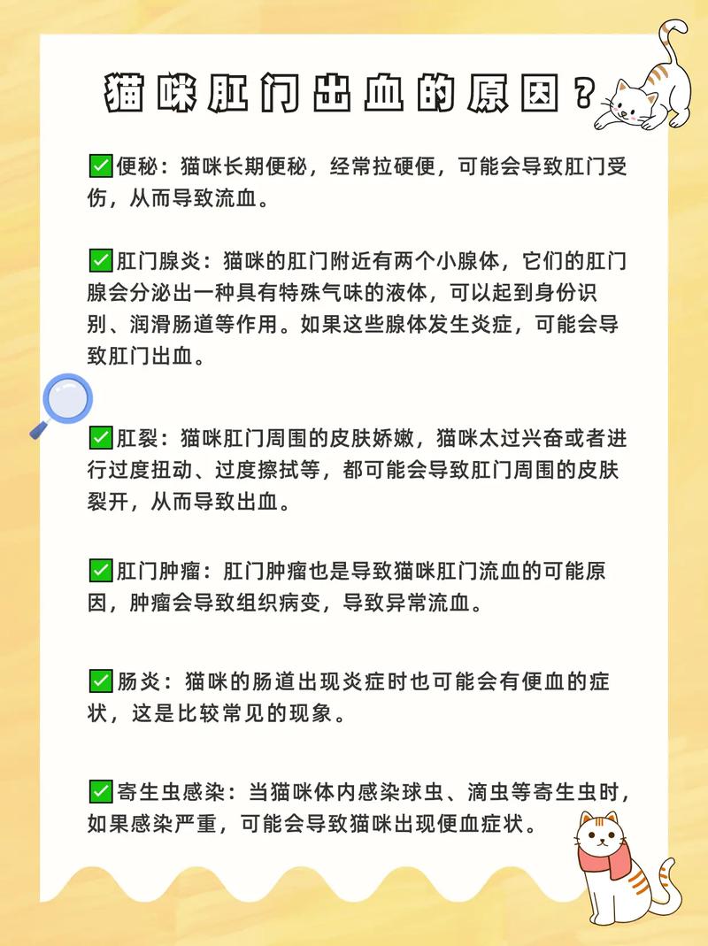 貓咪懷孕期間為何會(huì)出血？潛在原因解析