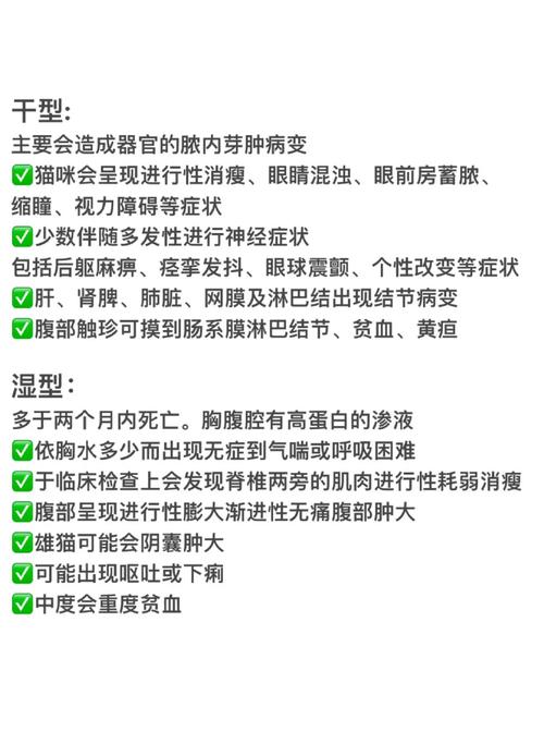 貓咪腹膜炎，并非無害的家寵健康隱患