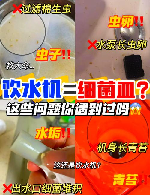 貓咪飲水機(jī)是否安全？