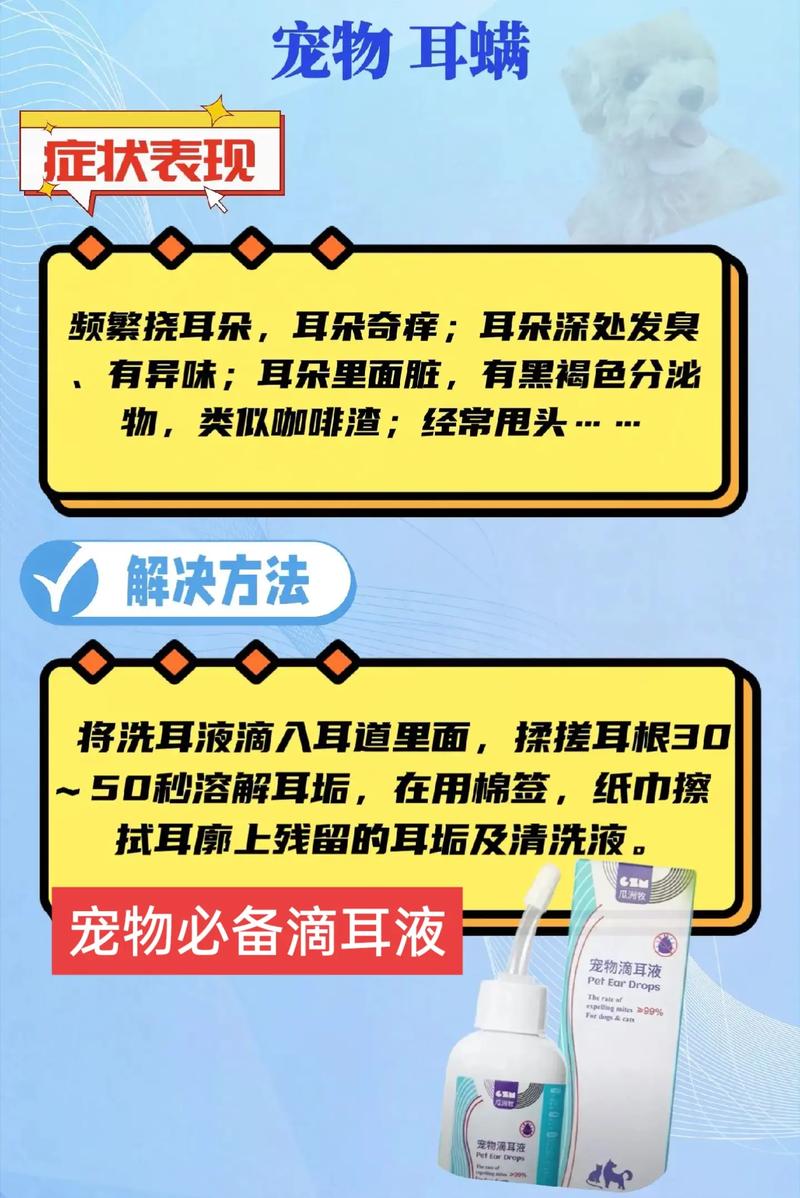 貓咪耳朵健康需注意，何時該使用滴耳液