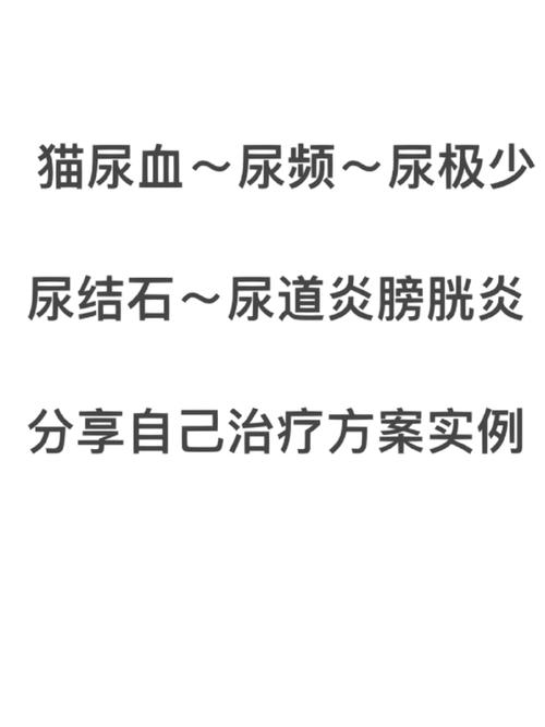 貓咪尿路感染消炎藥，如何科學治療貓咪的健康問題